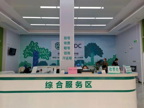 大瀝預(yù)防保健門(mén)診正式揭牌 夯實(shí)基層健康防線，推動(dòng)全鎮(zhèn)基本公共衛(wèi)生服務(wù)再上新臺(tái)階